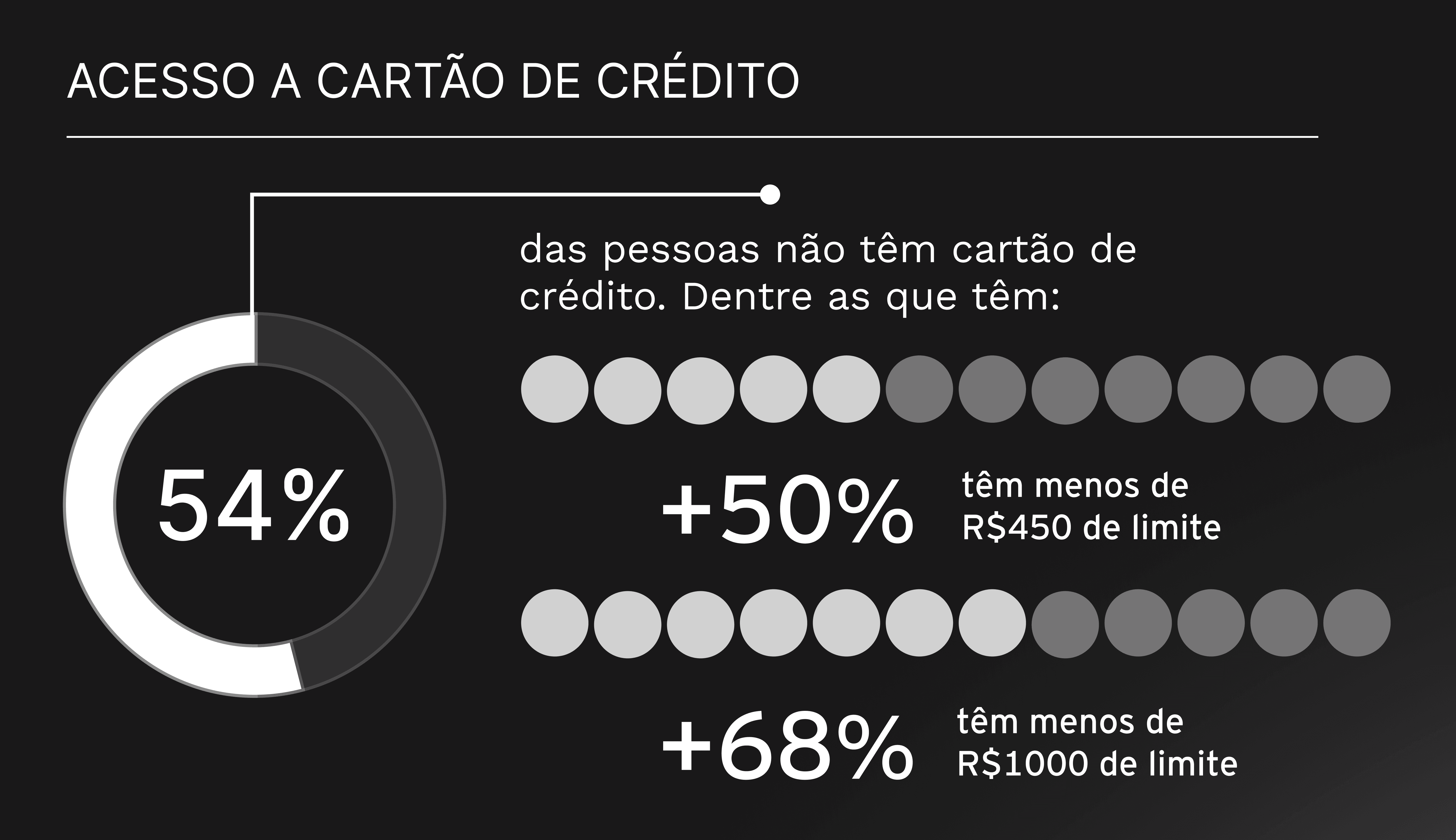 Gráfico mostrando o acesso da população brasileira ao cartão de crédito por perfil de renda e faixa etária