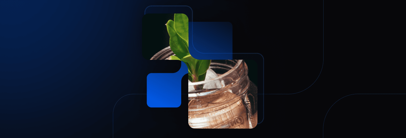 Open Finance Brasil: como funciona, benefícios e por que já deu certo